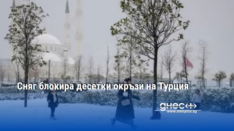 Сняг блокира десетки окръзи на Турция