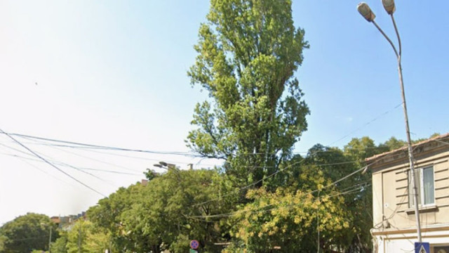 Временно ще бъде нарушено движението на моторни превозни средства и