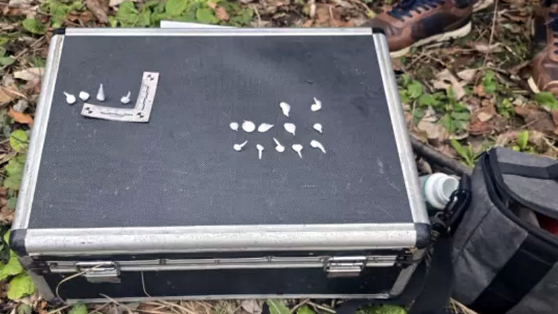 Задържаха мъж за продажба на наркотици до училище в София, криел ги в кутийки от дъвки