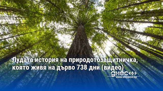 Живот на ръба на лудостта и в короната на древно