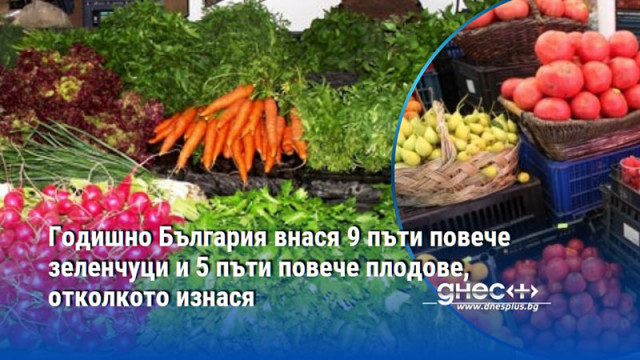 Годишно България внася 9 пъти повече зеленчуци и 5 пъти повече плодове, отколкото изнася