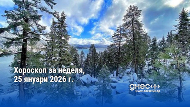 ОвенДенят е много благоприятен усилията Ви не са напразни а