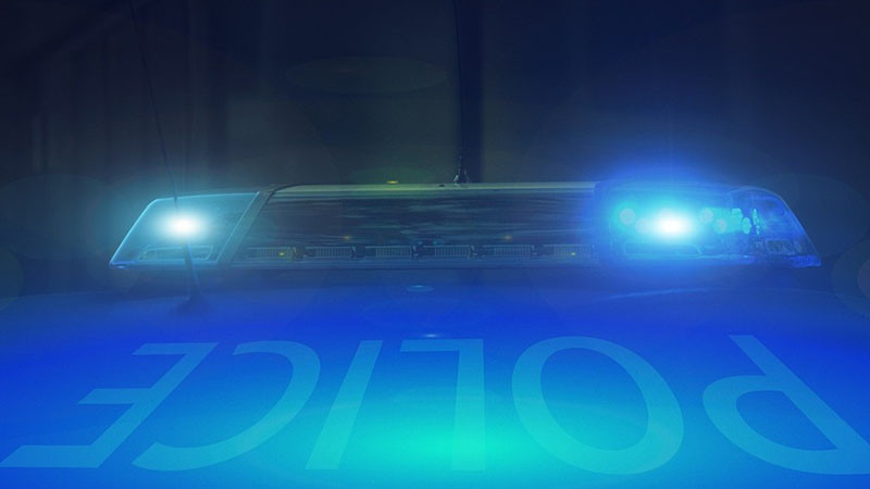 Двама мъже и жена обраха телевизор, шевни машини и акордеон от къща във Варненско