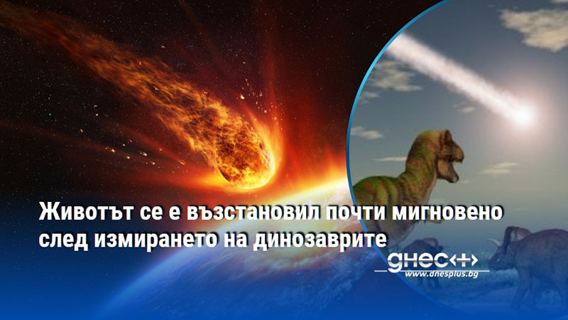 Животът се е възстановил почти мигновено след измирането на динозаврите