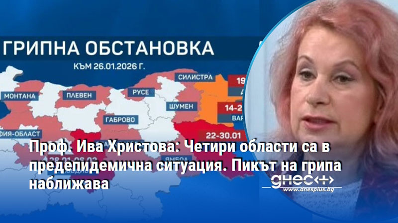 Проф. Ива Христова: Четири области са в предепидемична ситуация. Пикът на грипа наближава