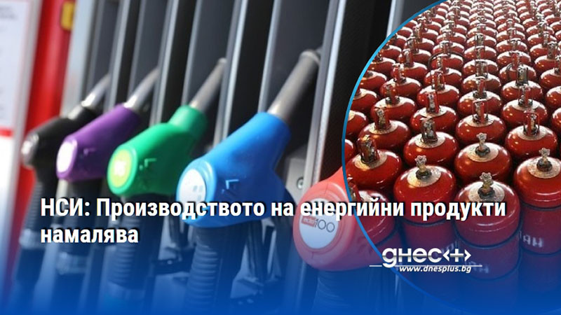 НСИ: Производството на енергийни продукти намалява