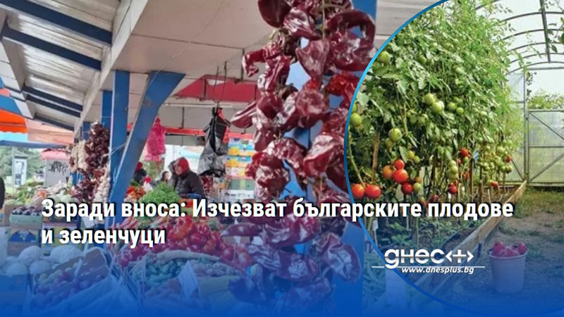 Заради вноса: Изчезват българските плодове и зеленчуци