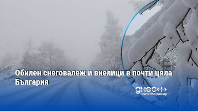 Обилен снеговалеж и виелици в почти цяла България