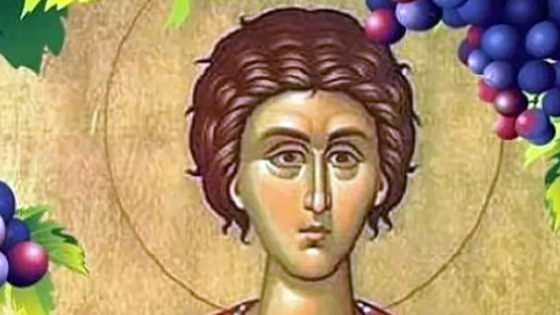 Църквата почита свети Трифон, пазач на лозята