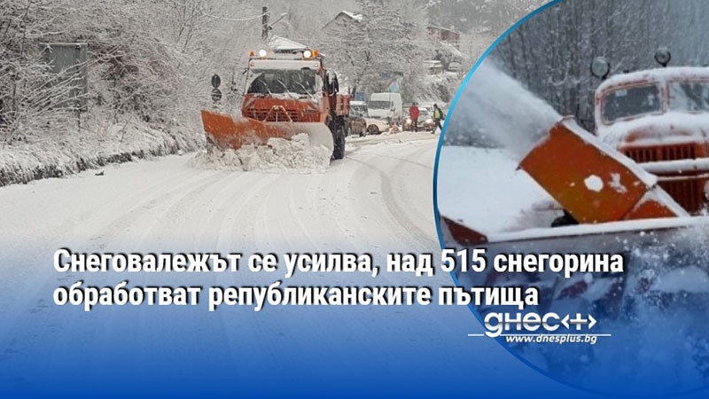 Снеговалежът се усилва, над 515 снегорина обработват републиканските пътища