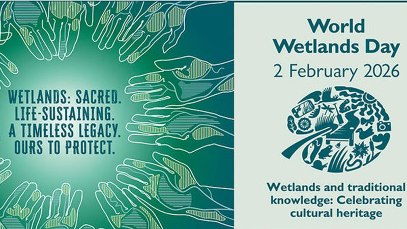 „Вечното наследство, което трябва да пазим“: Отбелязваме Световния ден на влажните зони