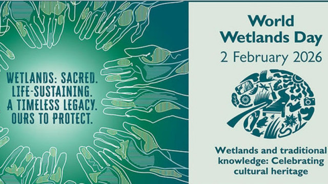 Всяка година на 2 февруари отбелязваме Световния ден на влажните