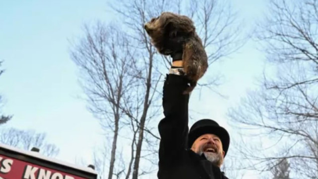 Лоши новини за Съединените щати Прочутият мармот Фил от Пънксътоуни