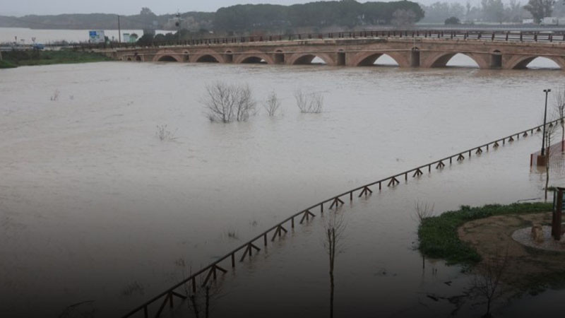 Ураганен вятър нанесе огромни щети на островите Корфу и Кефалония