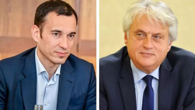 Свински черва Кой разчиства пътя на Зеления Октопод край Петрохан