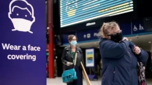 Германското правителство обяви че е изгорило в инсинератор около три