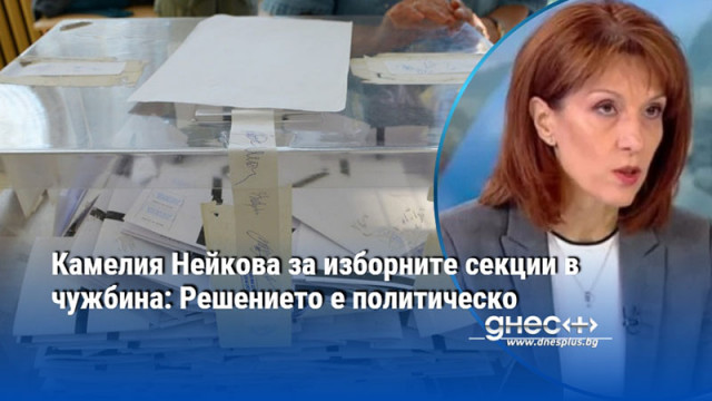 Камелия Нейкова за изборните секции в чужбина: Решението е политическо