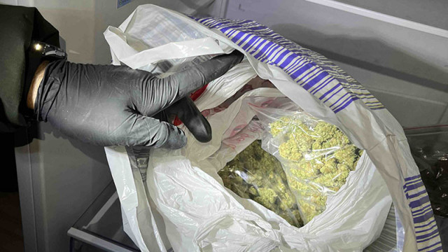 Метамфетамин марихуана кокаин фентанил и екстази са намерени и иззети