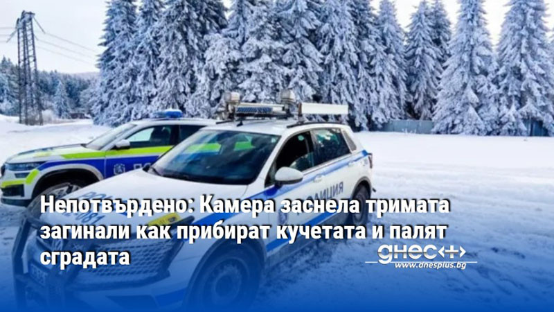 Непотвърдено: Камера заснела тримата загинали как прибират кучетата и палят сградата