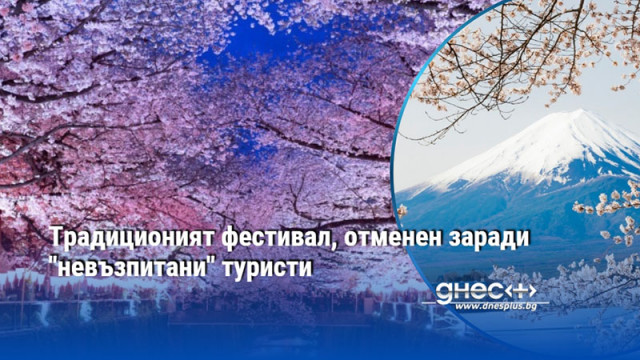 Една от най емблематичните пролетни атракции в Япония е цъфтежът