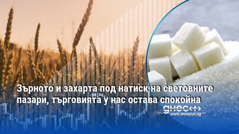 Зърното и захарта под натиск на световните пазари, търговията у нас остава спокойна