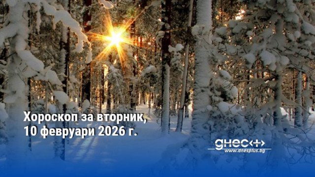ОвенСрещите и запознанствата през този ден могат да изиграят важна