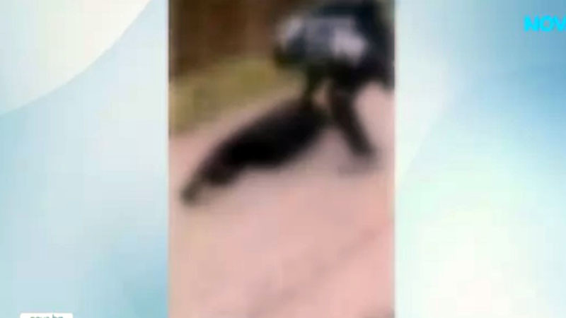 Побой над 13-годишно момиче беше заснет и публикуван в социалните мрежи