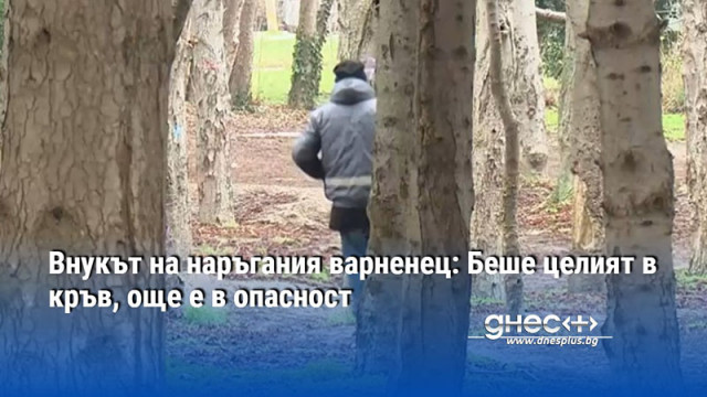 Тежко остава състоянието на 86 годишният мъж който беше намушкан