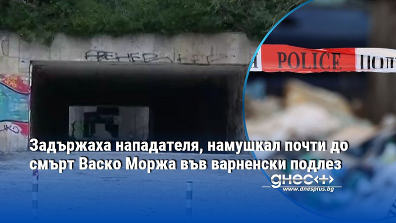 Задържаха нападателя, намушкал почти до смърт Васко Моржа във варненски подлез