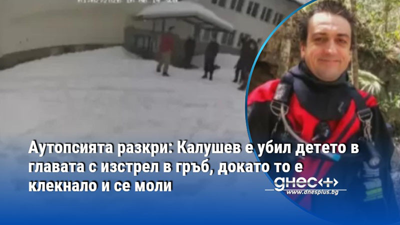 В тялото на един от рейнджърите на Петрохан имало две