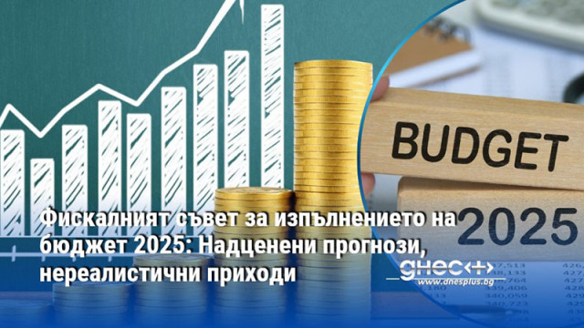 Според експертите сред проблемите са и прекомерните разходи и високата