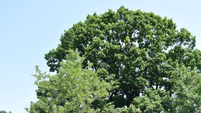 Със заповед на министъра на околната среда и водите Манол