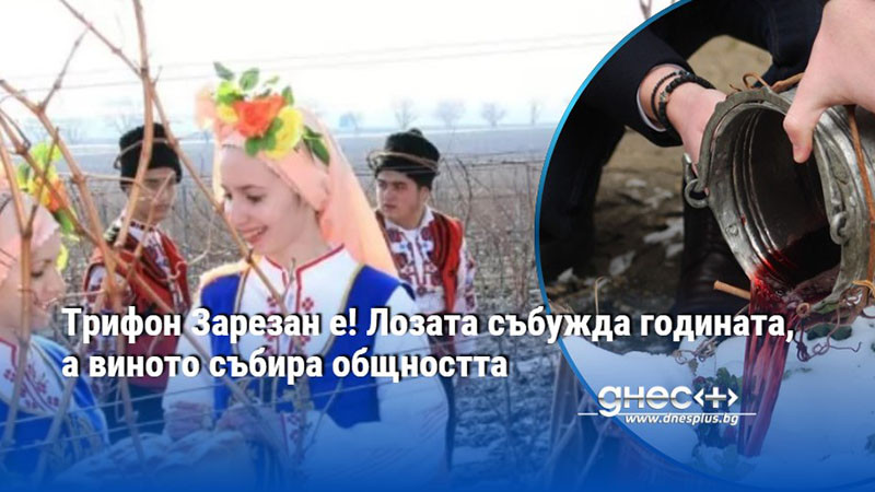 Трифон Зарезан е! Лозата събужда годината, а виното събира общността