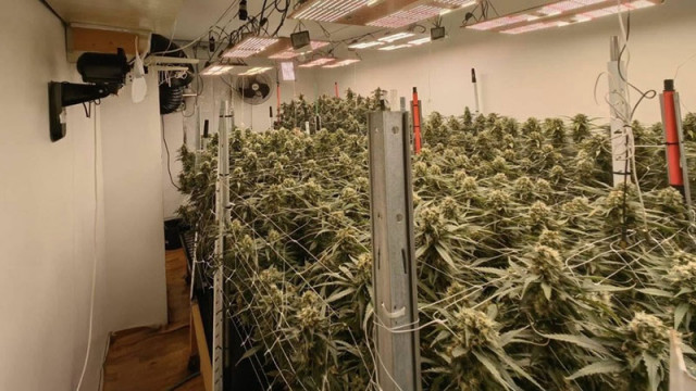 По линия на противодействието на наркопрестъпността вчера служители на ОДМВР