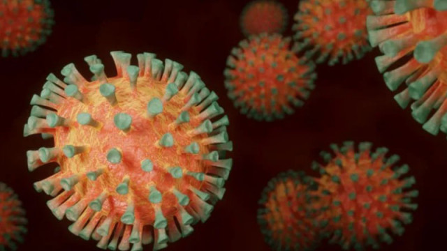 Щам бактерия открит в ледена пещера в Румъния показва устойчивост