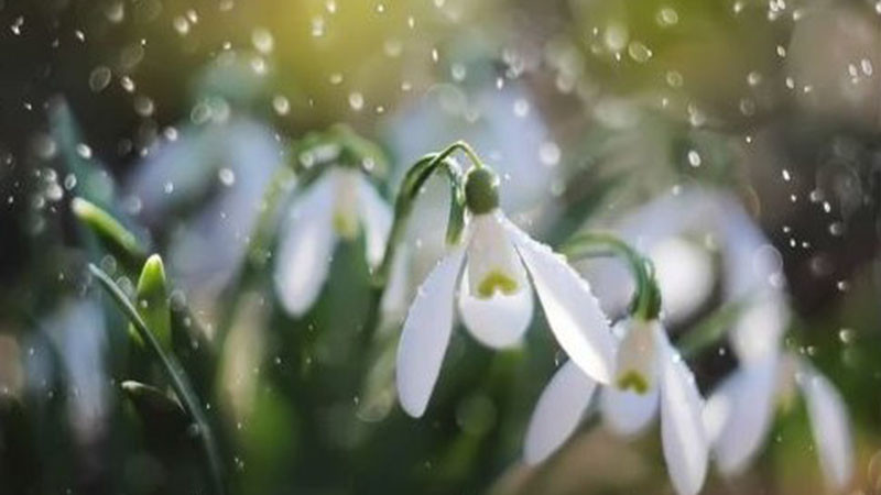 Проф. Рачев: Зимата си отива