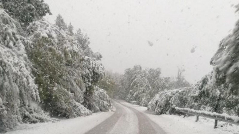 Частично бедствено положение в Смолян, 5 села са без ток