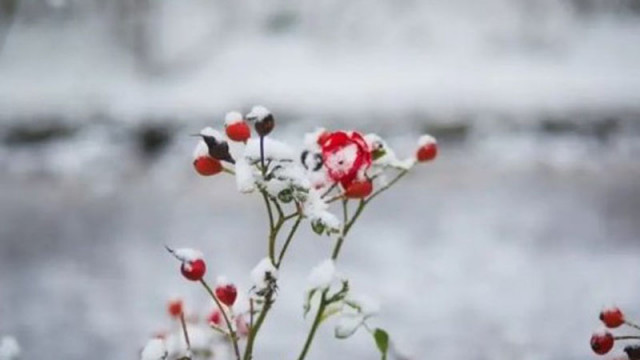 Мотото на прогнозата за времето ще бъде слънце в очите