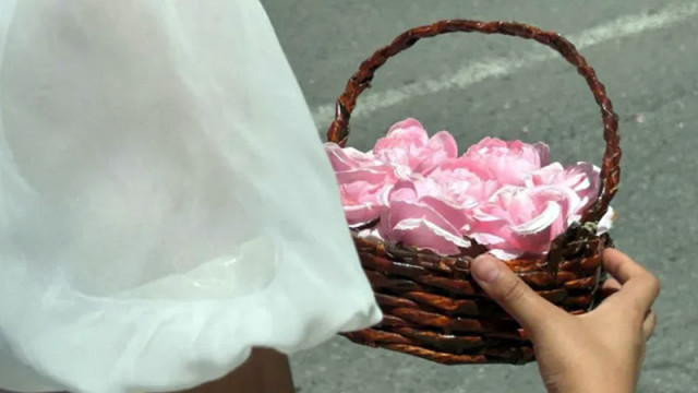 Розопроизводството у нас изчезва – спъват го лоша държавна политика и липса на работна ръка