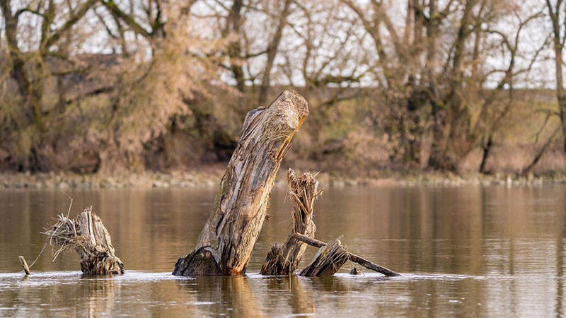 Река Марица заля над 100 хил. декара от Североизточна Гърция