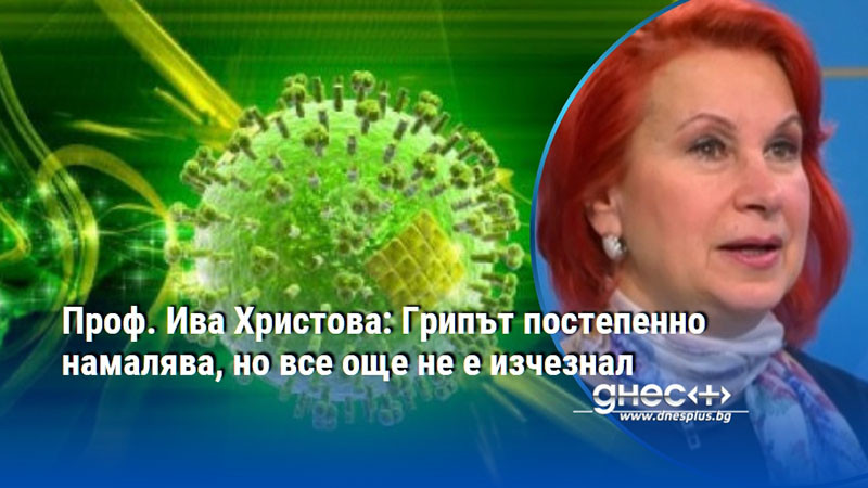 Проф. Ива Христова: Грипът постепенно намалява, но все още не е изчезнал