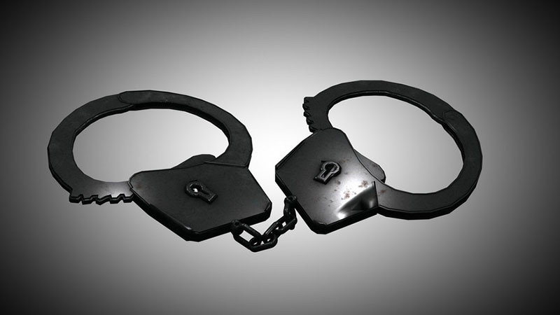 В Турция задържаха 41 издирвани за престъпления и избягали в чужбина, петима са върнати от България