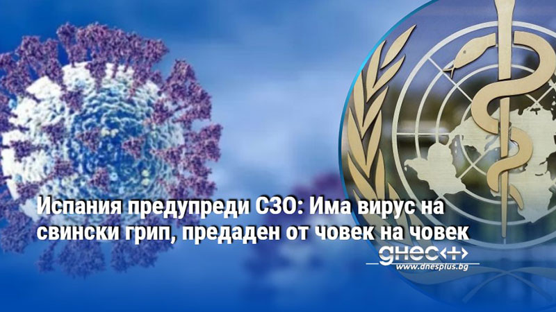 Испания предупреди СЗО: Има вирус на свински грип, предаден от човек на човек