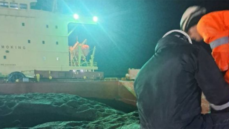 БАБХ: Внесеният с кораб във Варна слънчоглед със завишени пестициди ще се ползва за биодизел