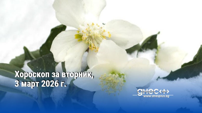 Хороскоп за вторник, 3 март 2026 г.