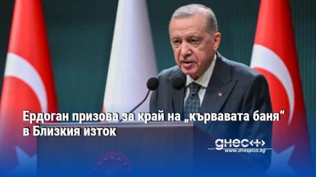Ердоган призова за край на „кървавата баня“ в Близкия изток