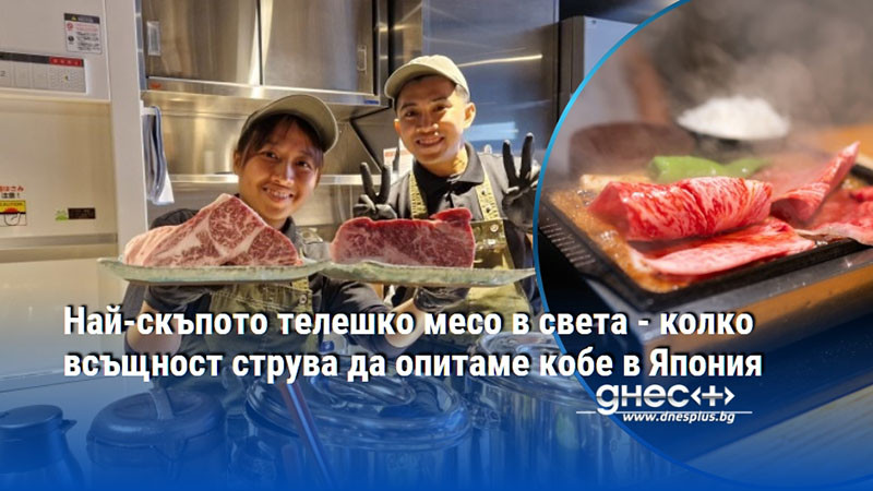 Най-скъпото телешко месо в света - колко всъщност струва да опитаме кобе в Япония