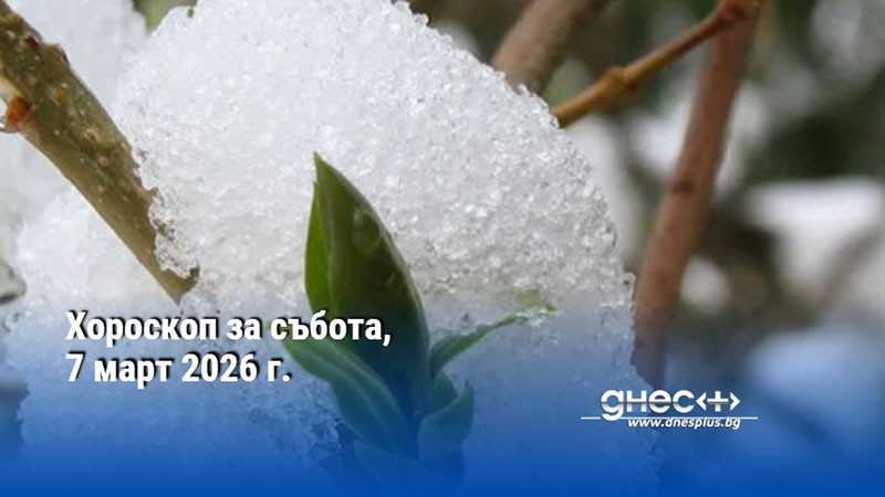 ОвенДнес ще Ви се прииска да предпазите своя любим човек