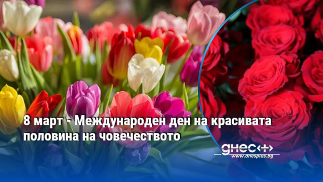 8 март - Международен ден на красивата половина на човечеството