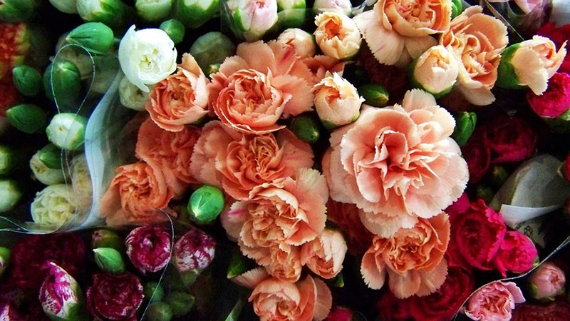 Откраднаха цветя за 1000 евро навръх 8 март край Несебър